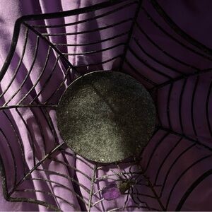 Spider Web Kids Costume Accessory - Purple